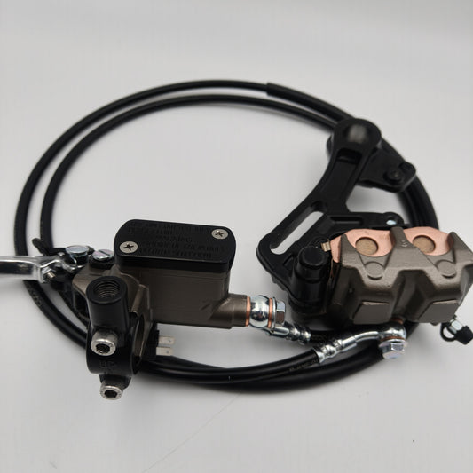 Surron Ultra Bee Parts  Rear Brake Assembly